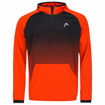 Picture of TOPSPIN Hoodie Men