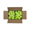 TRINITI CLUB 72-BALL BOX TENNIS BALLS