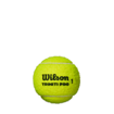 Triniti Pro 3 Ball Can Tennis Balls- Yellow