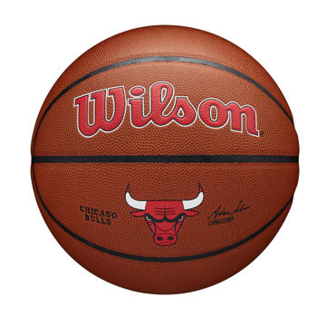 Shop Wilson Team Alliance Chicago Bulls Ball
