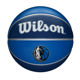 Wilson Basketballs-NBA Team Tribute