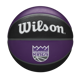 Wilson Basketballs-NBA Team