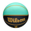 Shop Wilson 2024 NBA Team City Edition Basketball Charlotte Hornets