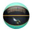 Shop Wilson 2024 NBA Team City Edition Basketball Charlotte Hornets