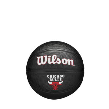 Wilson Basketball Hoops-Mini Chicago Bulls