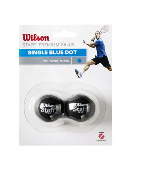 Wilson Squash Balls -Staff Squash 2