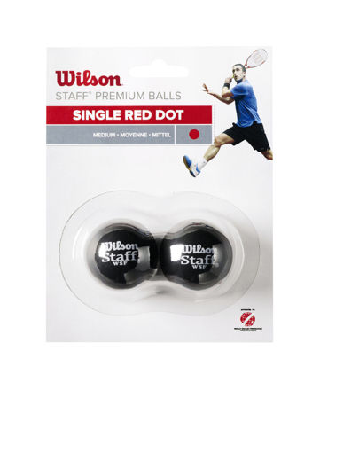 Wilson Squash Balls -Staff Squash 2